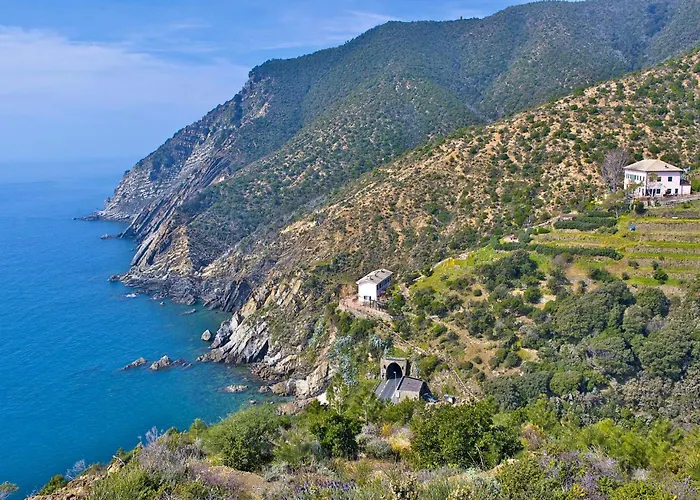 Pet Friendly In Apartmán *